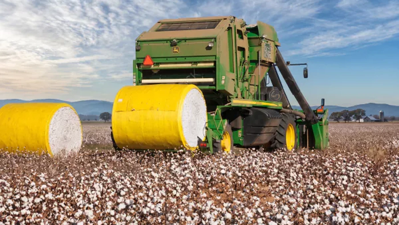 Cotton harvester forming a wrapped module